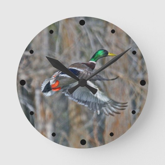 Horloge Ronde Drake Mallard en vol (Recto)