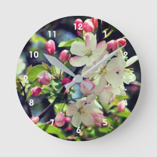 Horloge Ronde Early Spring Crabapple Blossoms 3 Close Up 