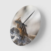 Horloge Ronde Écureuil rayé brun curieux en Alberta (Angle)
