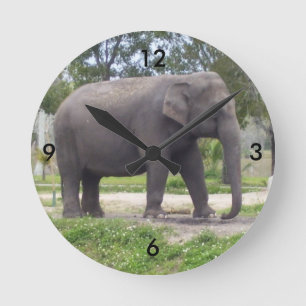 Horloge Ronde Éléphant sur le chemin tranquille du temps
