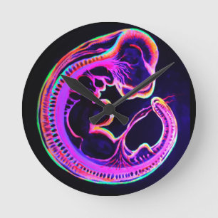 Horloge Ronde embryon fluorescent brillant dans l'obscurité