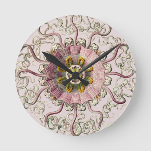 Horloge Ronde Ernest Haeckel (Recto)