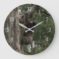 Escalade Koala dans un arbre Australie Grande horl