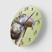 Horloge Ronde Escargots - Le Plaisir Riche (Angle)