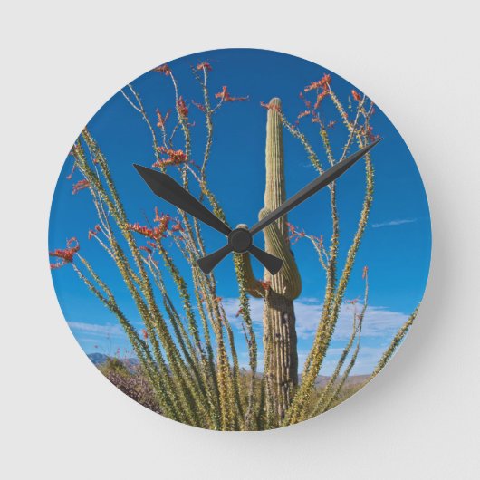 Horloge Ronde États-Unis, Arizona. Cactus Dans Le Parc National (Recto)