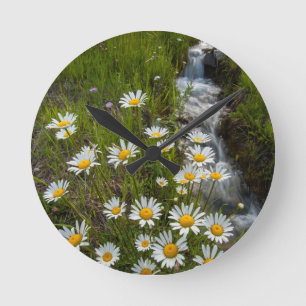 Horloge Ronde États-Unis, Colorado, Montagnes de San Juan. Pâque