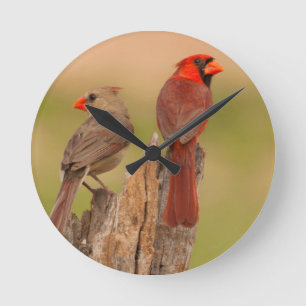 Horloge Ronde États-Unis, Texas, comté de Hidalgo. Couple de car