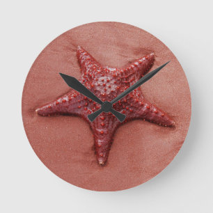 Horloge Ronde Étoiles de mer rouges