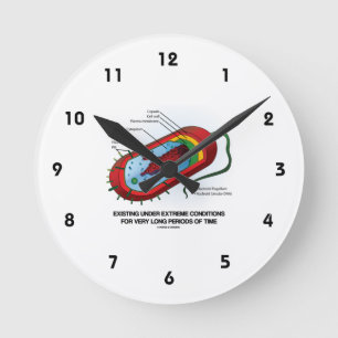 Horloge Ronde Existant Dans Des Conditions Extrêmes Très Longtem