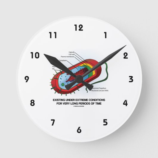 Horloge Ronde Existant Dans Des Conditions Extrêmes Très Longtem (Recto)