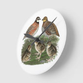 Horloge Ronde Famille Bobwhite Quail (Angle)