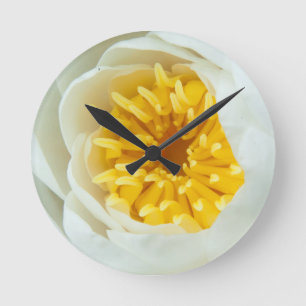 Horloge Ronde Fermer Water Lilly