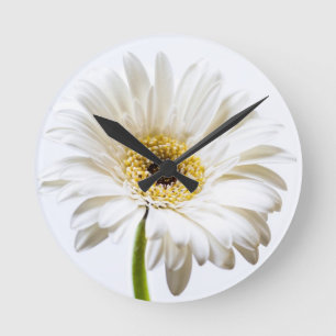 Horloge Ronde Fermez-vous de la tête de fleur de Gerbera