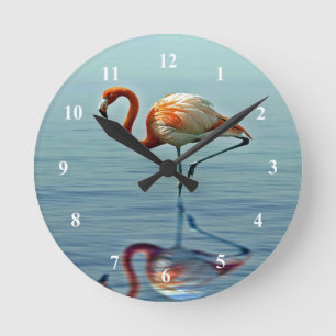 Horloge Ronde Flamant rose rose réflexion Faune photo