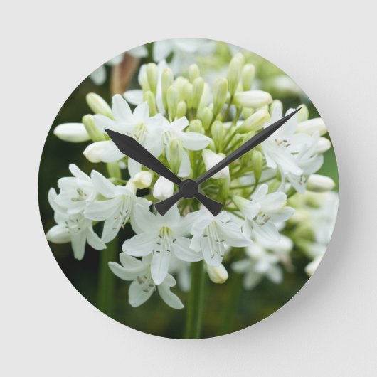 Horloge Ronde Fleur Agapanthus blanche (Recto)