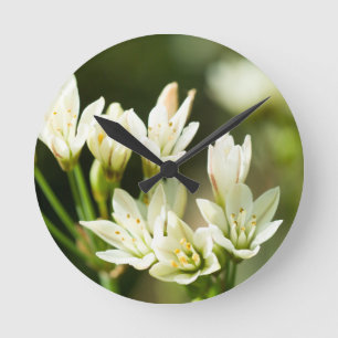 Horloge Ronde Fleur blanche