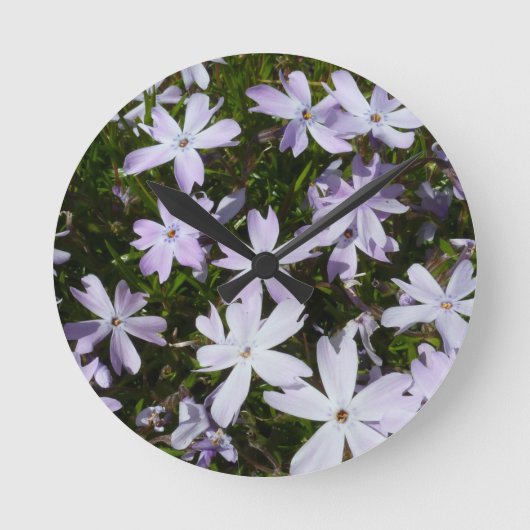 Horloge Ronde Fleur de Phlox (Recto)