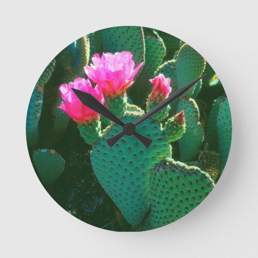 Horloge Ronde Fleurs de Cactus Beavertail (Recto)