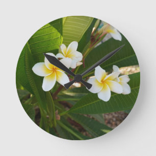 Horloge Ronde Fleurs Frangipani parfumées