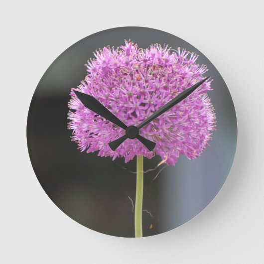 Horloge Ronde Fleurs pour tous (Recto)