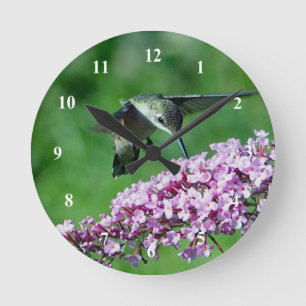 Horloge Ronde Fleurs roses colibris