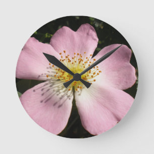 Horloge Ronde Flower of wild blossom rose