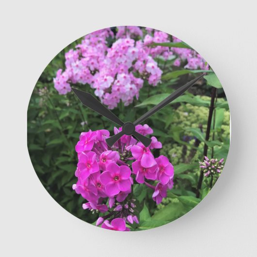 Horloge Ronde Flowers at Château Morrisette Winery, Floyd, VA (Recto)