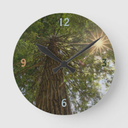 Horloge Ronde Forêt paisible avec photo de nature à lumière doré