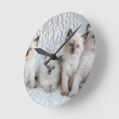 Horloge Ronde Four Young Ragdoll cats sitting in a row (Angle)