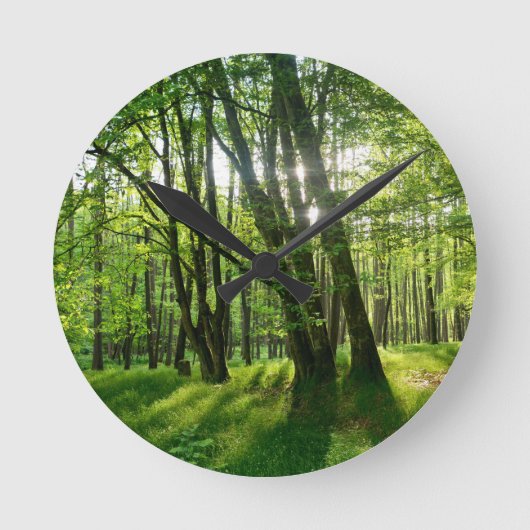 Horloge Ronde Frühlingswald (Recto)