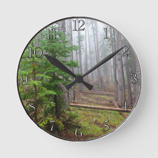 Horloge Ronde Fumier in pine tree forest (Recto)