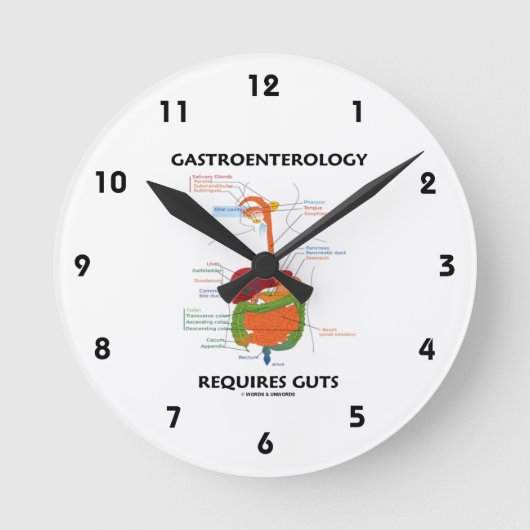 Horloge Ronde Gastroentérologie Nécessite Des Guts (Système Dige (Recto)