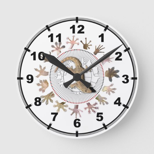 Horloge Ronde Gecko clock (Recto)