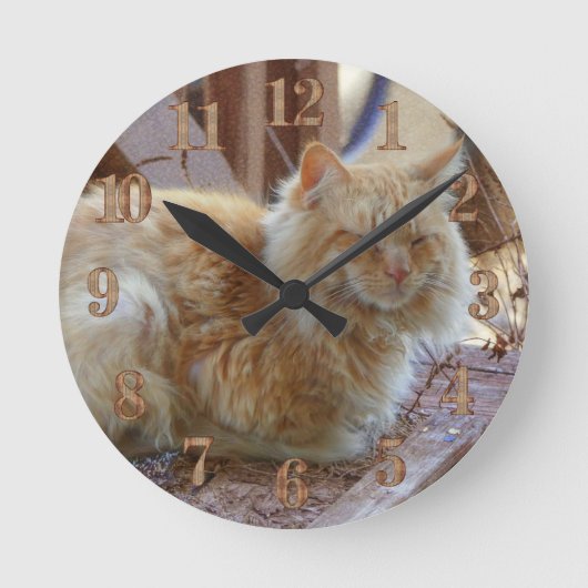 Horloge Ronde Ginger George (Recto)