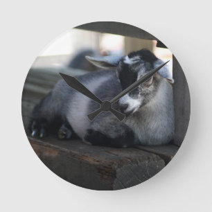 Horloge Ronde Goat