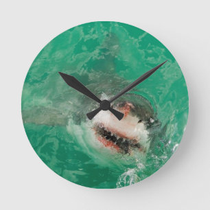 Horloge Ronde Grand blanc Shark1