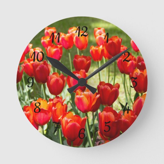 Horloge Ronde Grand champ de tulipes rouges (Recto)