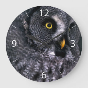 Horloge Ronde Grande Chouette grise