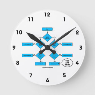 Horloge Ronde Graphique de flux de l'hétérotrophe Vous êtes ici 