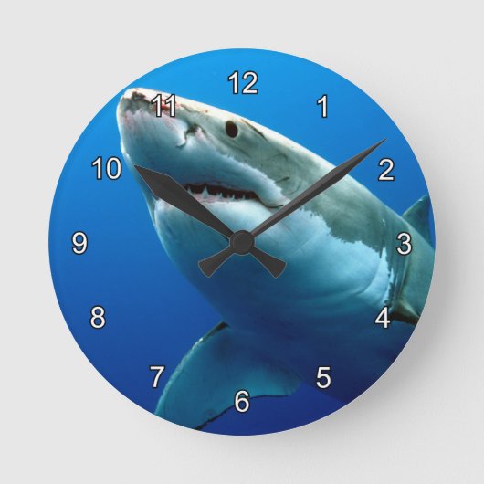 HORLOGE RONDE GREAT WHITE SHARK (Recto)