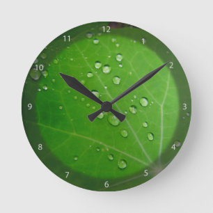 Horloge Ronde Grêle à pluviosité sur la feuille de capucine