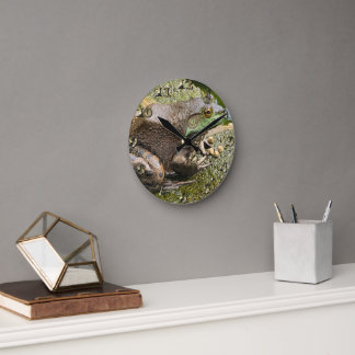 Horloge Ronde Grenouille - Vieux Coasseur