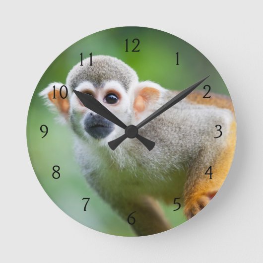 Horloge Ronde Gros plan d'un singe écureuil commun (Recto)