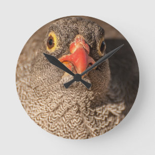 Horloge Ronde Grouse