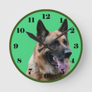 Horloge Ronde Handsome German Shepherd dog
