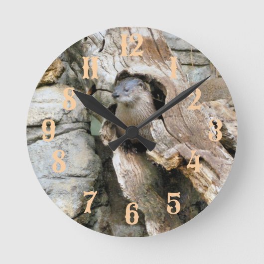 Horloge Ronde Harry Otter (Recto)