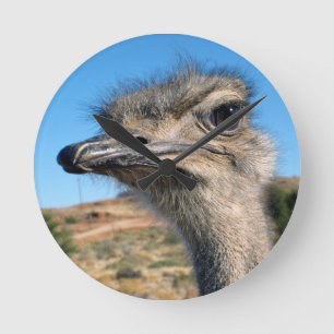 Horloge Ronde Harry the Happy Ostrich