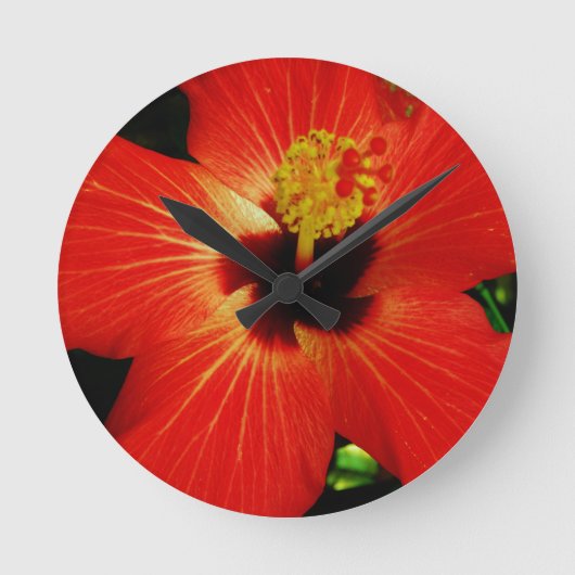 Horloge Ronde Hibiscus rouge (Recto)