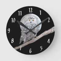 Hibou blanc et peinture de lune - Art d'oiseau ori