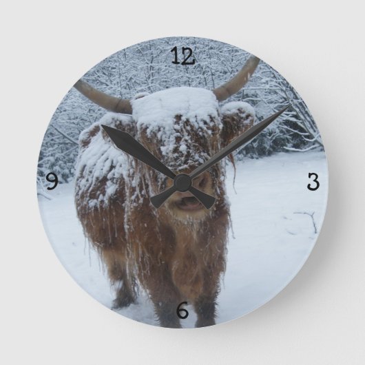 Horloge ronde Highland Bull (Recto)